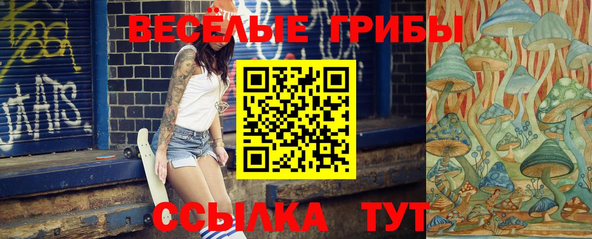 Псилоцибиновые грибы Psilocybe  где продают   Междуреченск  Вход с VPN 